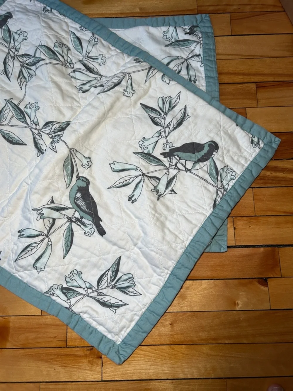 Coastal Grandma Botanical Bird Reversible Piped Border Pillow Shams Discontinued